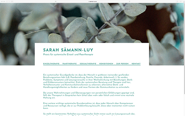 saemann-luy.de